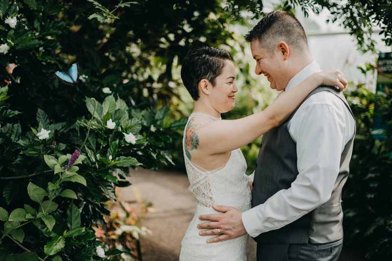 elope at butterfly house