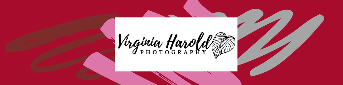 virginia harold photography