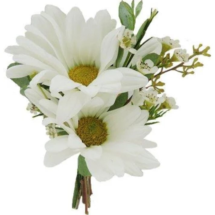 daisy boutonniere with elope in st louis